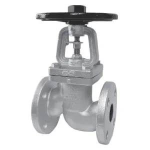 BSV-20F_Вентиль